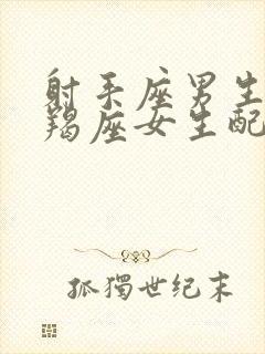 射手座男生和摩羯座女生配对指数