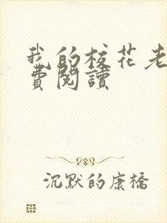 我的校花老婆免费阅读