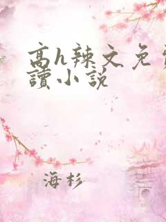 高h辣文免费阅读小说