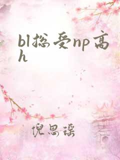 bl总受np高h
