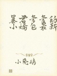 暴君爹爹的团宠小娇包最新章节免费阅读