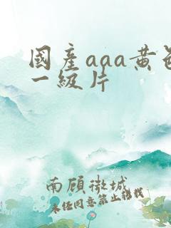 国产aaa黄色一级片