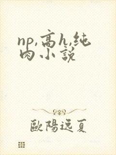 np,高h,纯肉小说