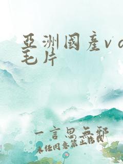 亚洲国产v a毛片