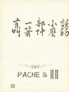 有一部小说主角叫萧什么的