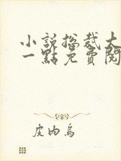 小说总裁大人轻一点免费阅读全文