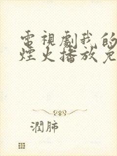 电视剧我的人间烟火播放免费