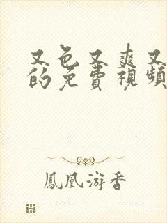 又色又爽又爽黄的免费视频