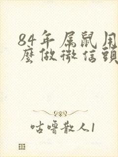 84年属鼠用什么做微信头像比较旺财