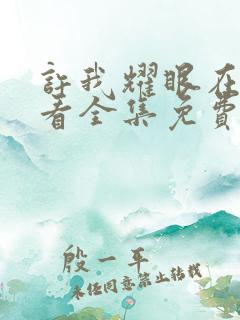 许我耀眼在线观看全集免费播放下载