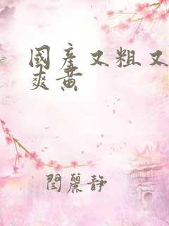 国产又粗又猛又爽黄