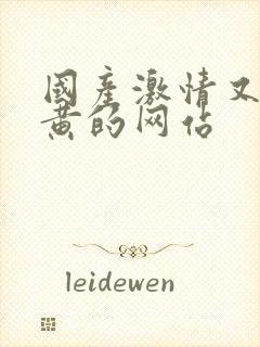 国产激情又爽又黄的网站