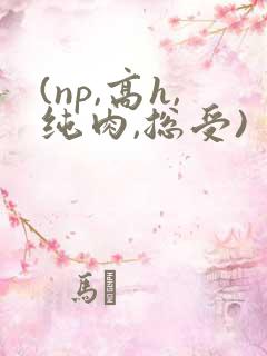 (np,高h,纯肉,总受)