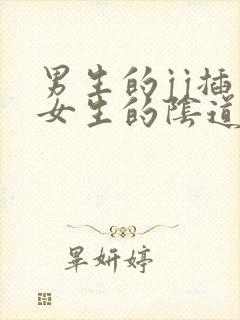 男生的jj插入女生的阴道