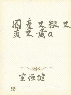 国产又粗又猛又爽又黄a