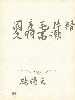 国产毛片精品久久99高潮