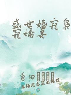 盛世婚宠枭爷独宠娇妻