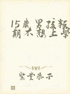 15岁男孩叛逆期不想上学怎么办