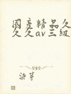 国产精品久久久久久av三级