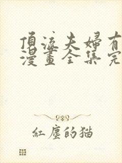 顶流夫妇有点甜漫画全集完整版