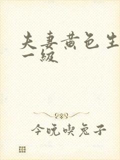 夫妻黄色生活片一级