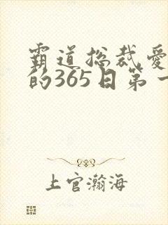 霸道总裁爱上我的365日第一季免费观看