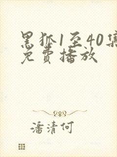 黑狐1至40集免费播放