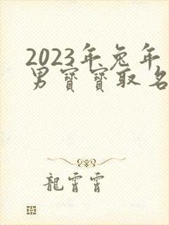 2023年兔年男宝宝取名字