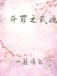 斗罗之武魂重瞳