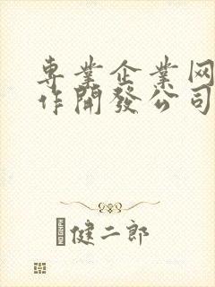 专业企业网站制作开发公司