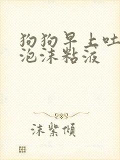 狗狗早上吐白色泡沫粘液