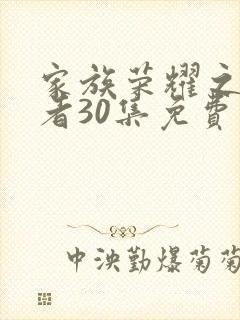 家族荣耀之继承者30集免费