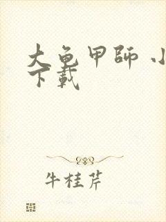 大龟甲师 小说下载