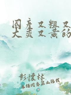 国产又粗又猛又大爽又黄的网站