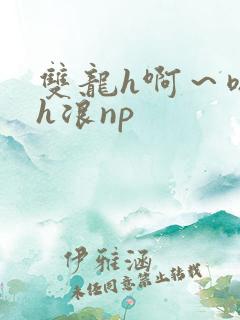 双龙h啊～嗯啊h浪np