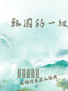 韩国的一级片.