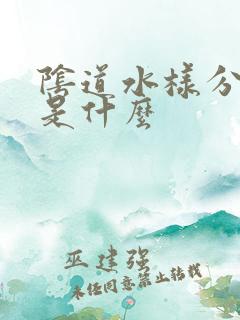 阴道水样分泌物是什么