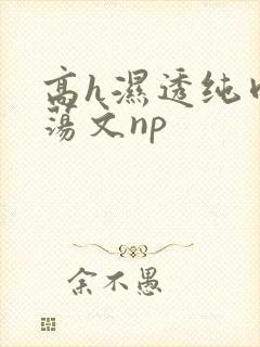 高h湿透纯肉放荡文np