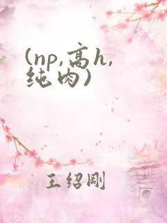 (np,高h,纯肉)