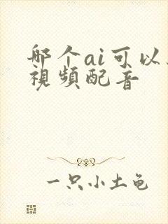 哪个ai可以给视频配音