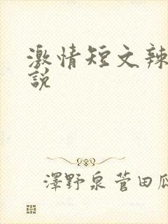激情短文辣文小说