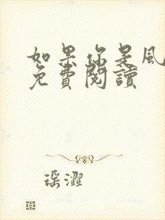 如果你是风小说免费阅读