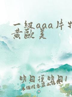 一级aaa片特黄欧美