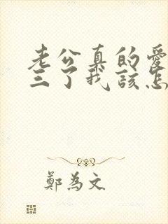 老公真的爱上小三了我该怎么办