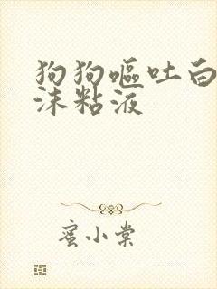 狗狗呕吐白色泡沫粘液