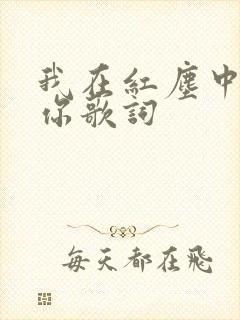 我在红尘中遇见你歌词