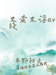 又黄又淫av在线