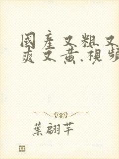 国产又粗又猛又爽又黄.视频