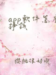 app软件怎么挣钱