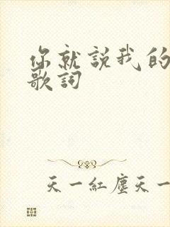 你就说我的唯一歌词